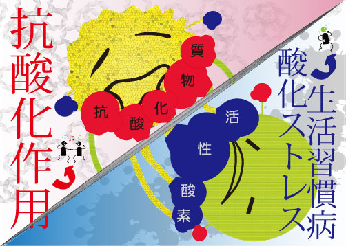 KIMURA