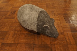 菅野聡子