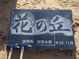 PB172798
