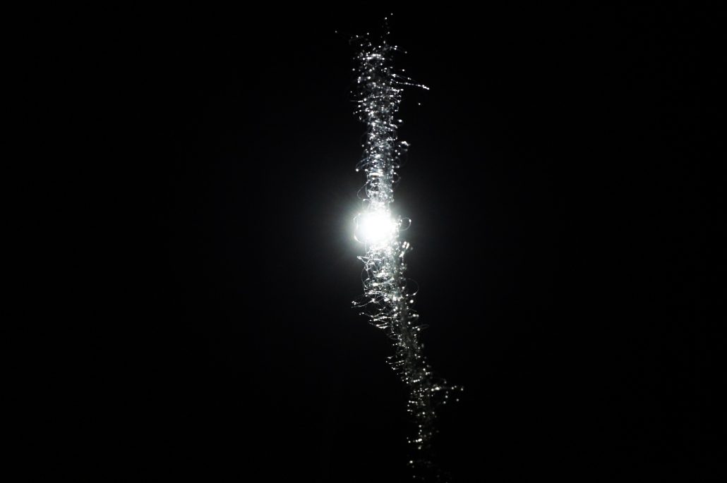 SONY DSC