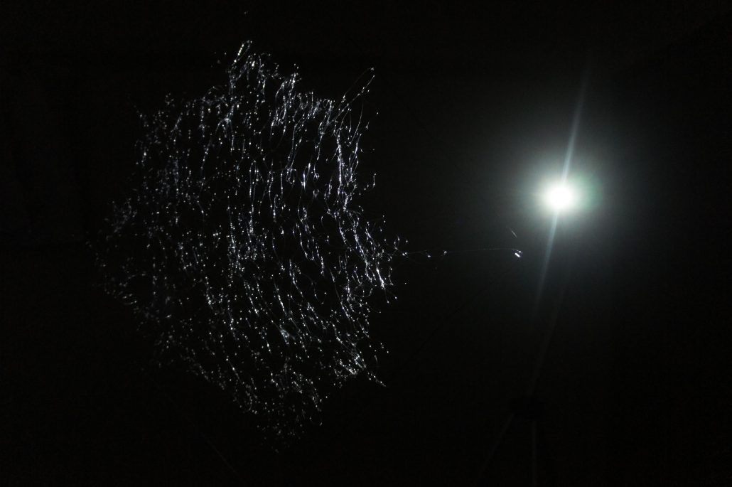 SONY DSC