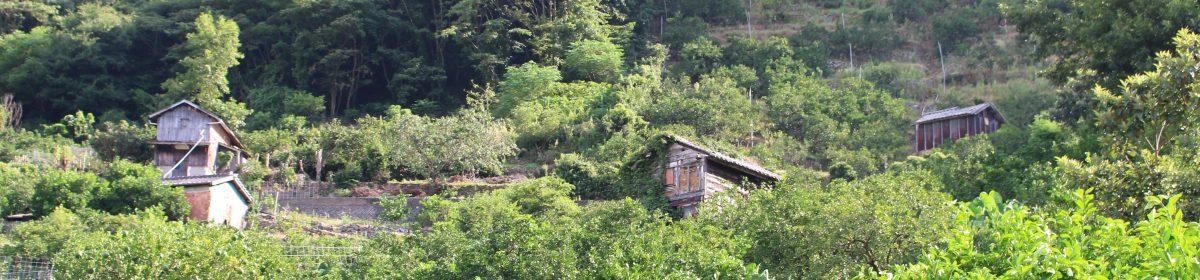 筑波大学　芸術系　橋本研究室