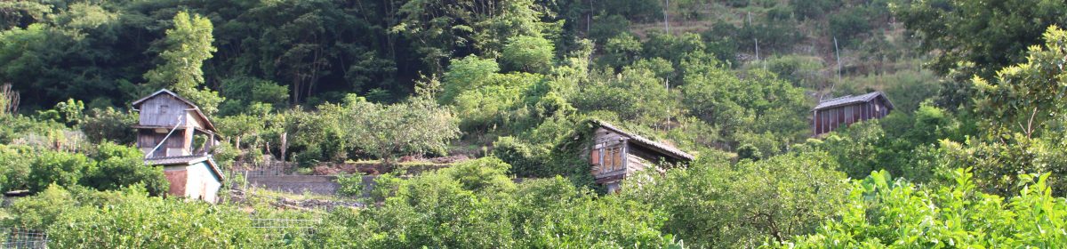 筑波大学　芸術系　橋本研究室