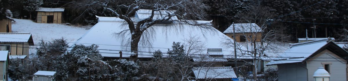 筑波大学　芸術系　橋本研究室