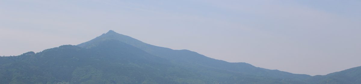 筑波大学　芸術系　橋本研究室