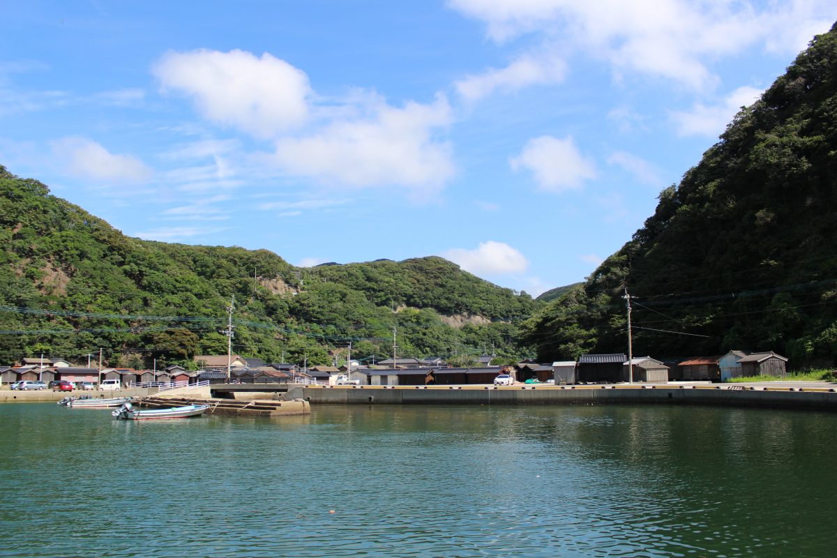 対馬調査　2019夏