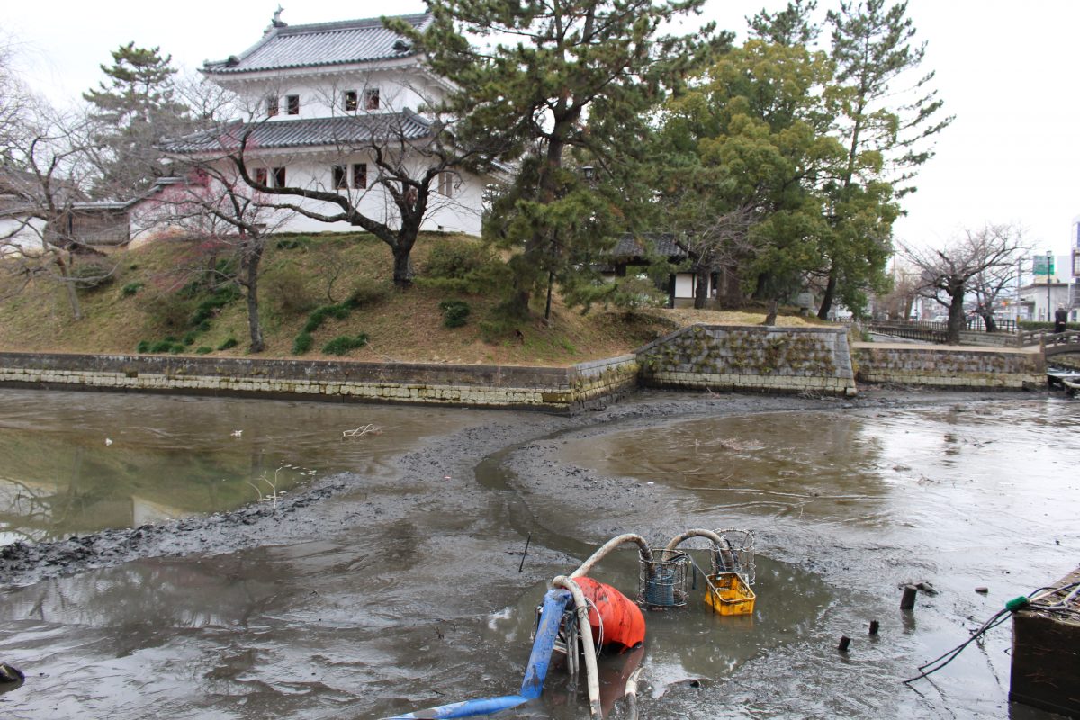 亀城公園の堀が・・・