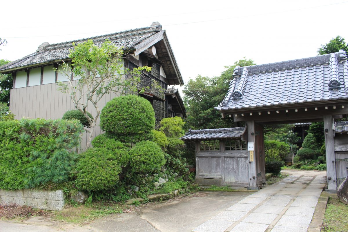 龍ケ崎調査　2020夏