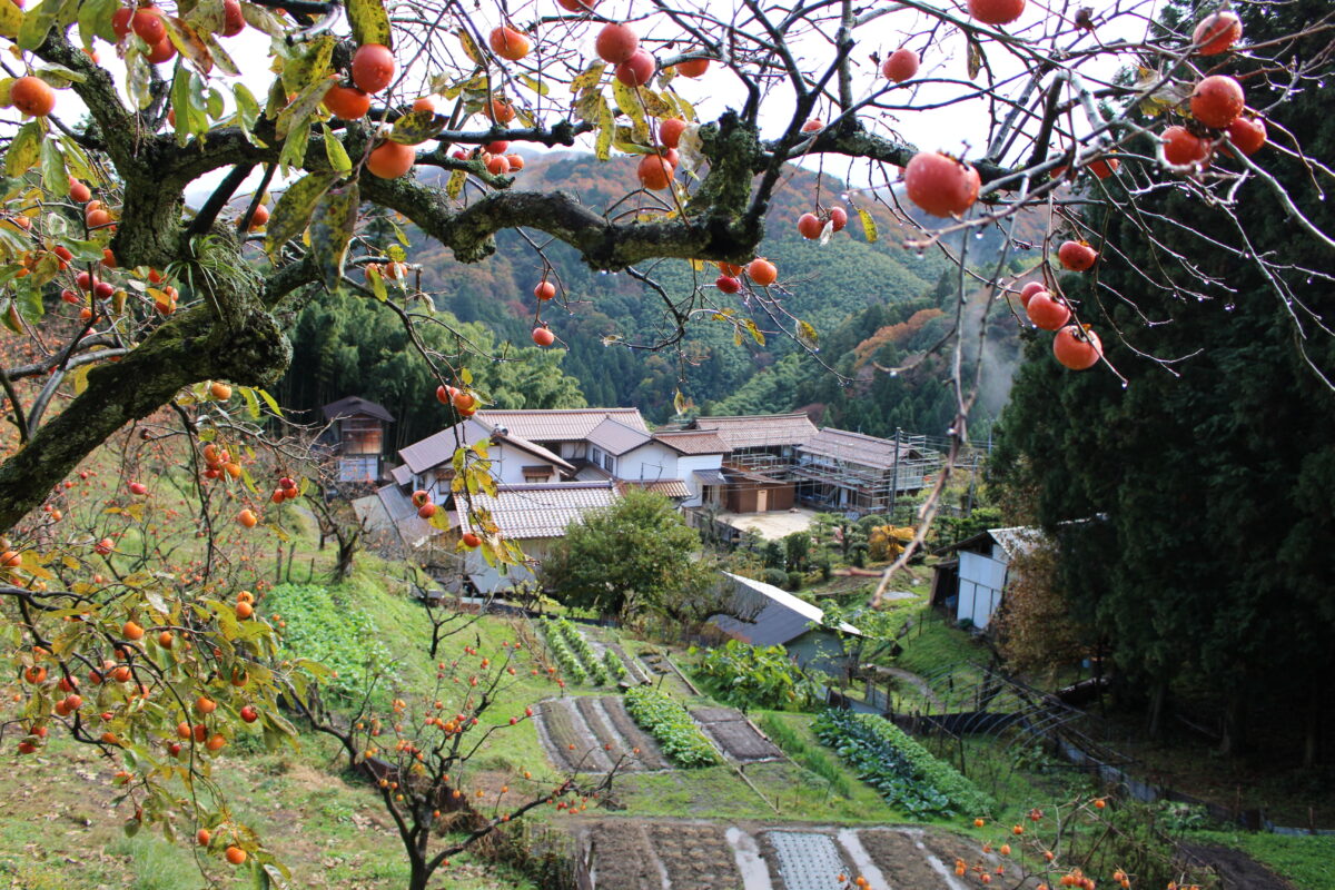 島根へ　2021年11月　その１