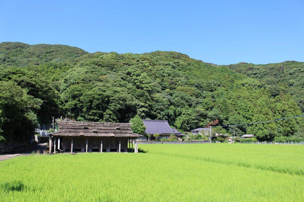 対馬調査　2022年7月