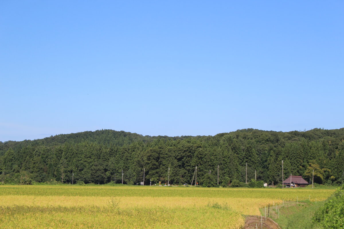 新潟へ