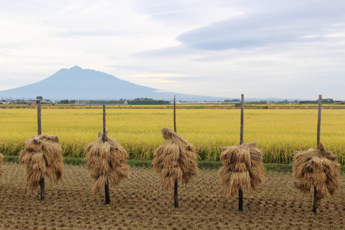 青森県黒石市の「こみせ」