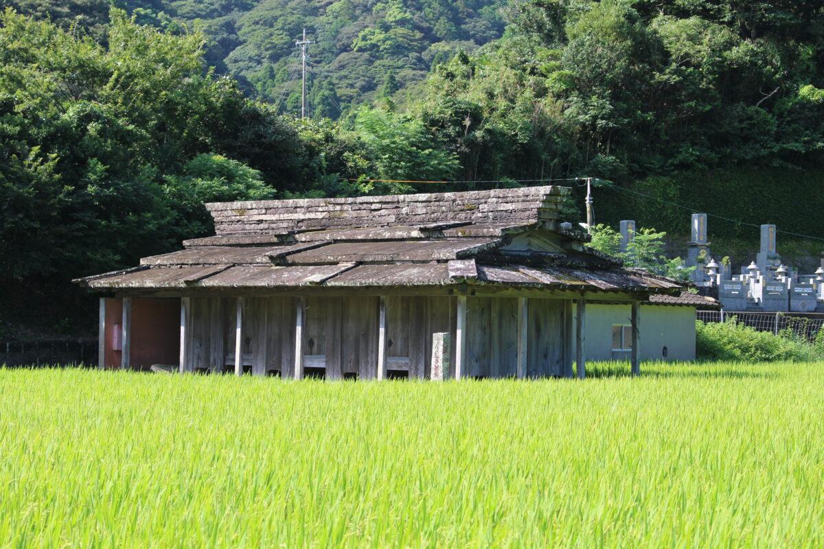 対馬調査　2023年8月