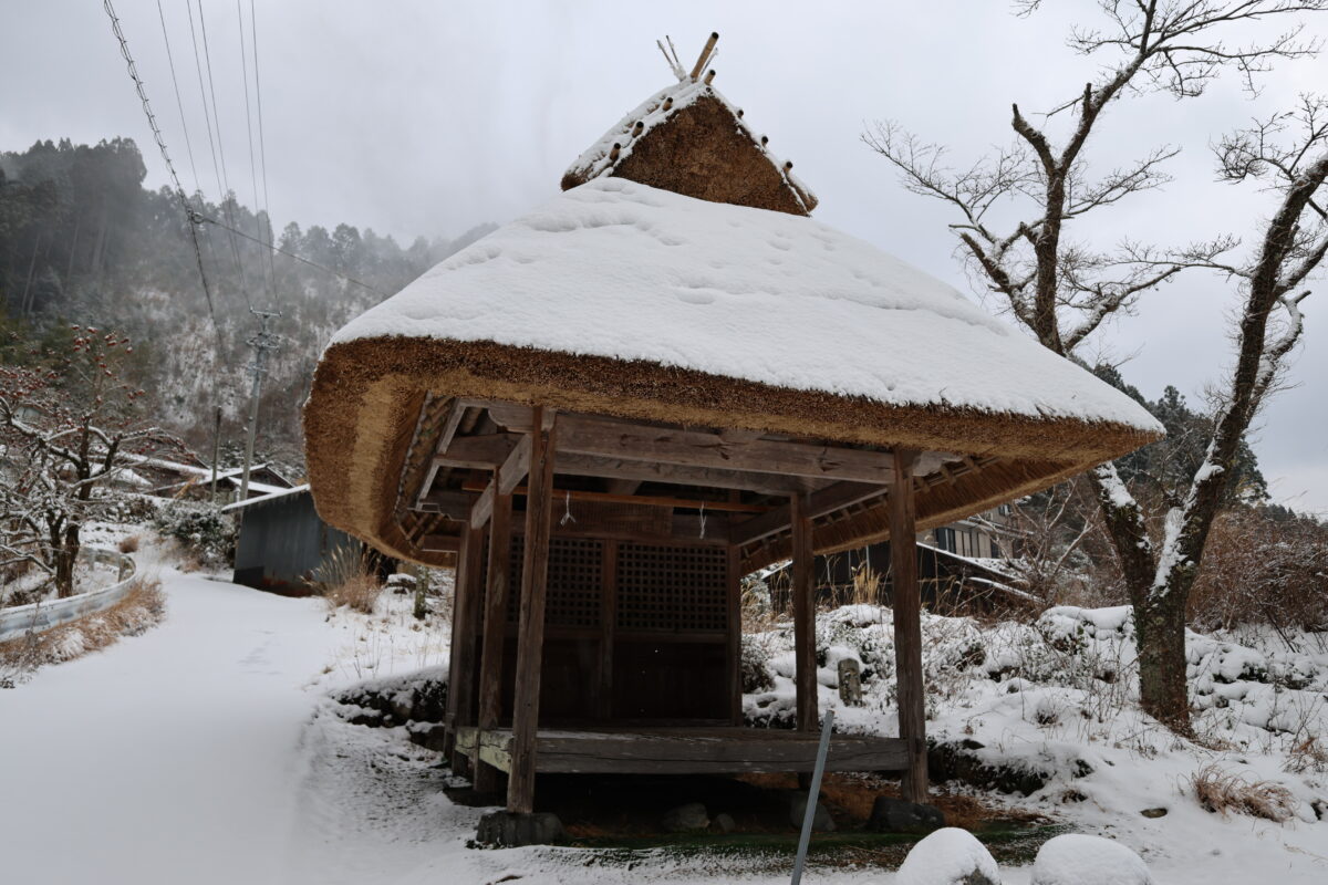 茶堂調査　2025年12月　2026年1月