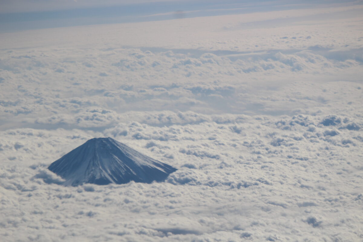 科研費の審査結果通知