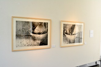 DSC_1769
