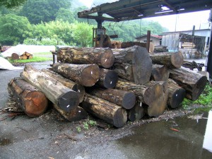 DSCN8680