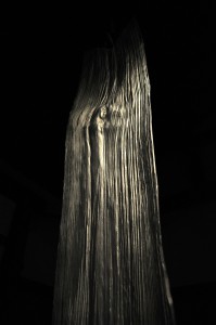 DSC_0035 2