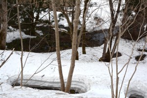 DSC_0196-2
