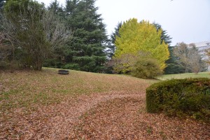 DSC_1429