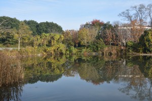 DSC_1447
