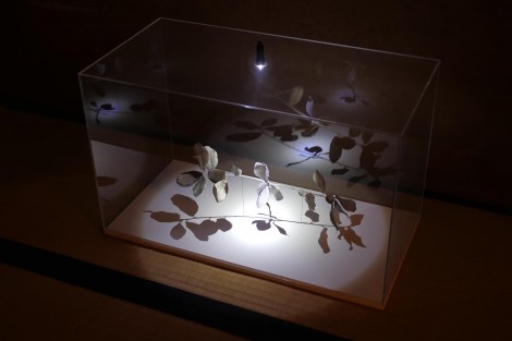 一晩だけの展覧会　森ものがたり1
