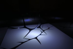 P1060432