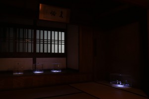 P1060450