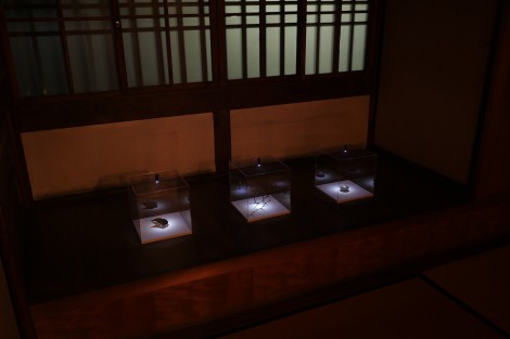 一晩だけの展覧会　森ものがたり0