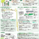 ガーデニングの空間調査・意識調査のまとめ｜濱中 いずみ