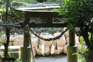 f_fujitan-3