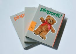Pinpoint!｜石井野絵