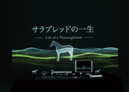 サラブレッドの一生｜オウ シンゲツ