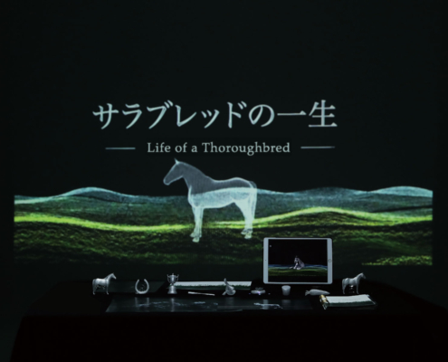 サラブレッドの一生｜オウ シンゲツ