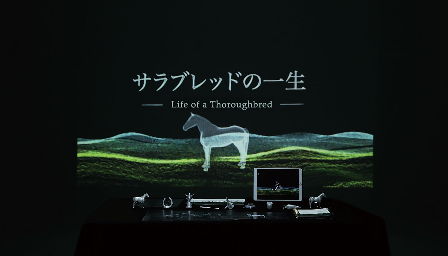 サラブレッドの一生｜オウ シンゲツ