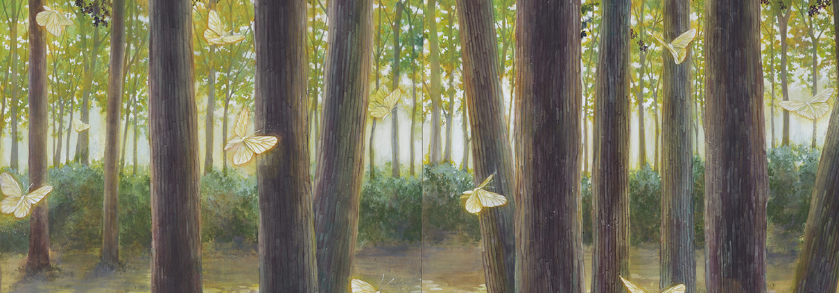 The sense of wonder｜國田 彩夕花