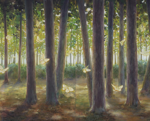 The sense of wonder｜國田 彩夕花