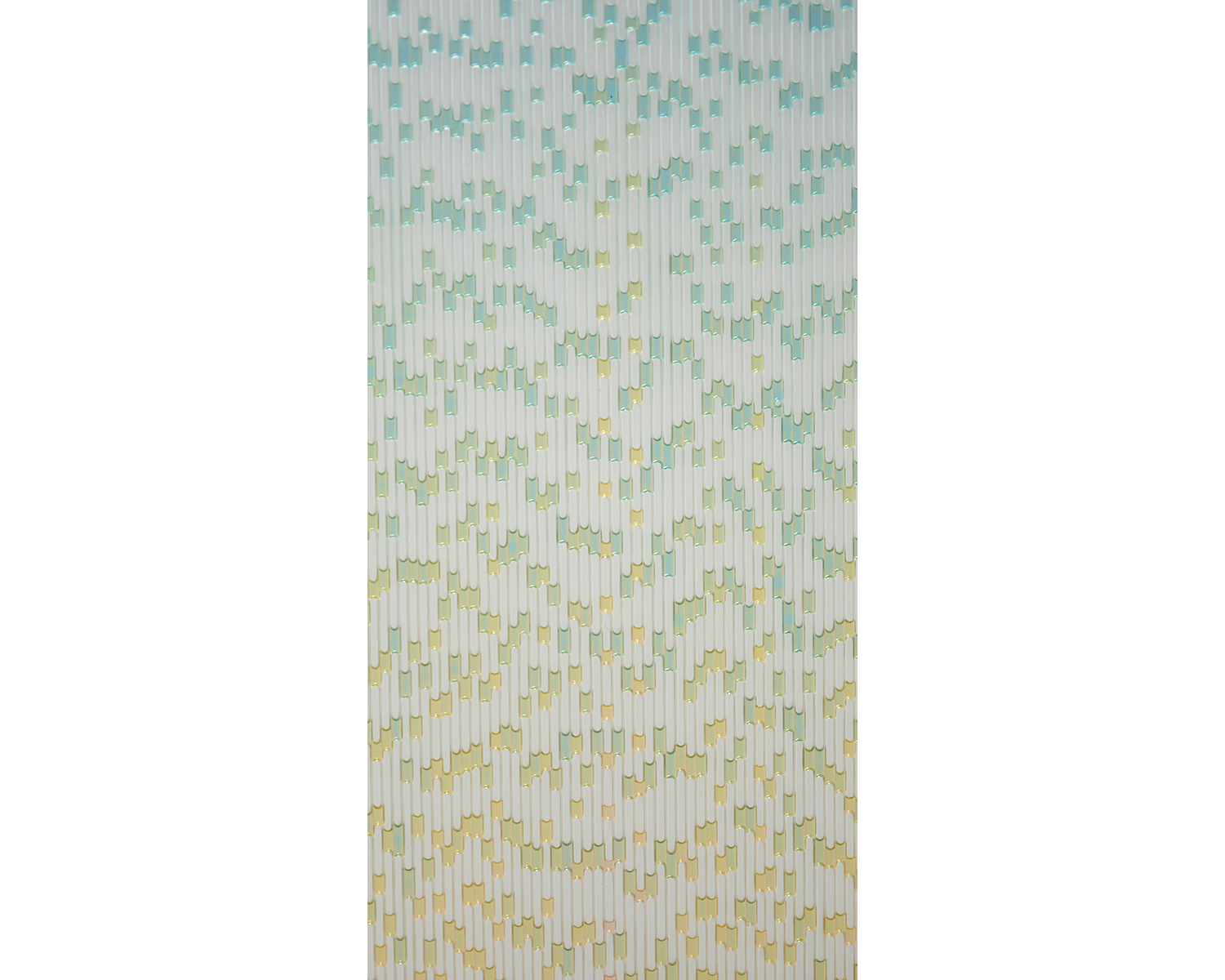 Tempest｜和田 祐香