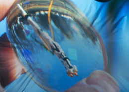 揺れて、醒める｜山岡 一樹