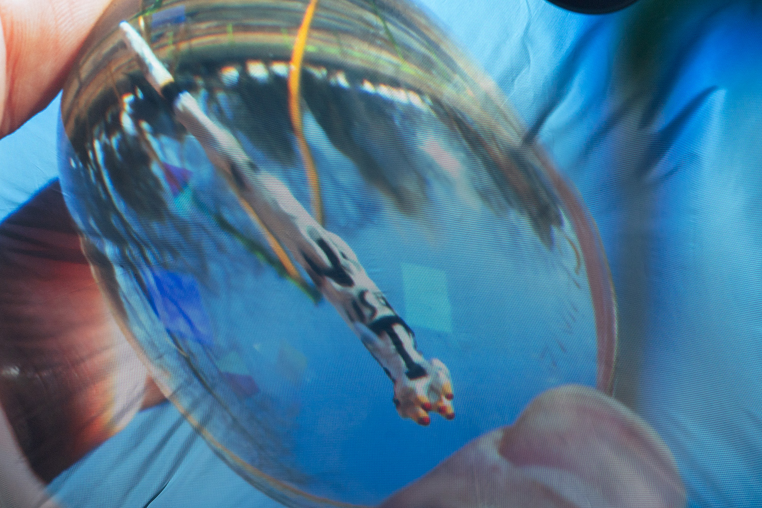 揺れて、醒める｜山岡 一樹