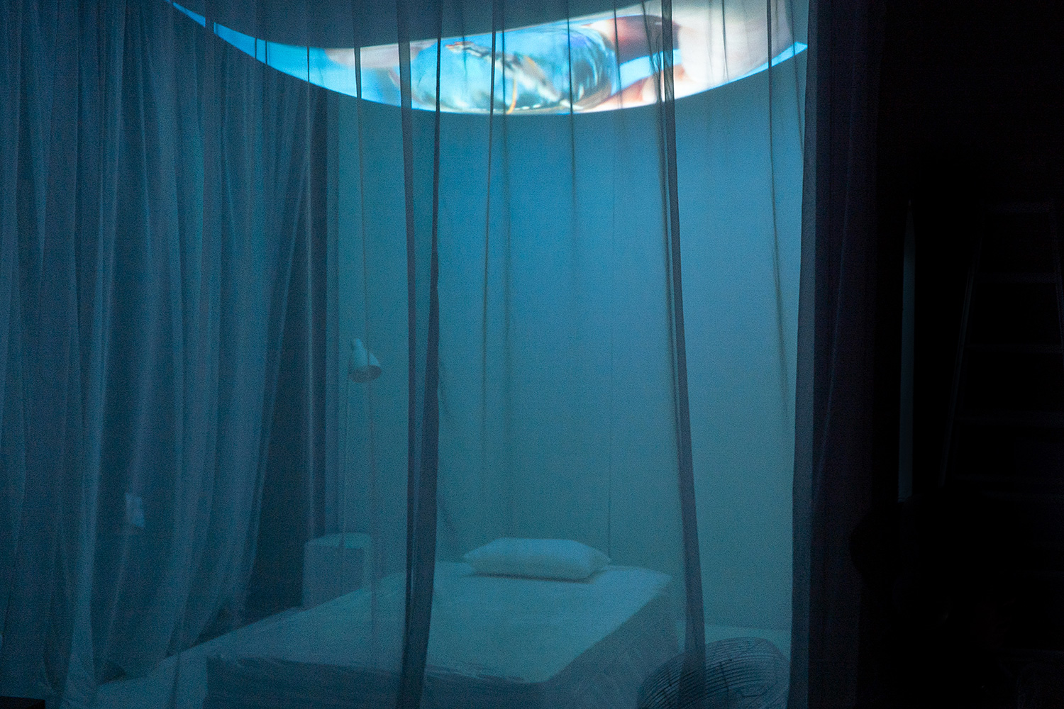 揺れて、醒める｜山岡 一樹