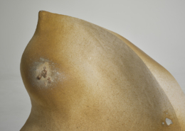 かかづらひて｜中井 美玖