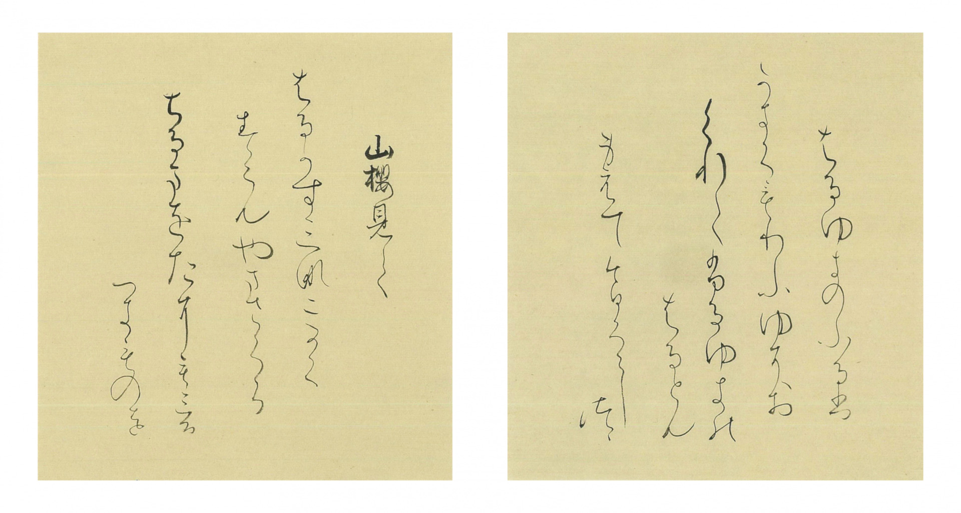 14×13cm 2葉