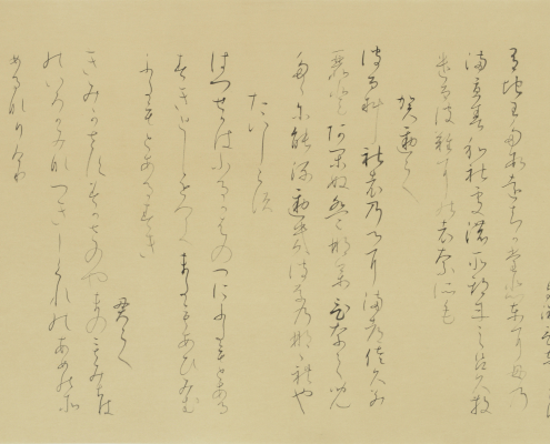 28×50cm