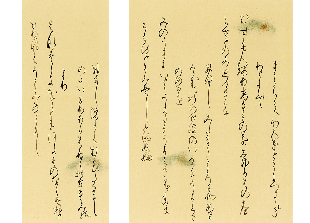 村嶋理子_小島切全体 のコピーa