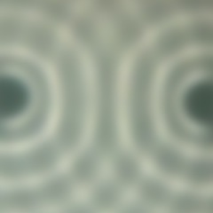 伝播(ん) 伝播(ん)