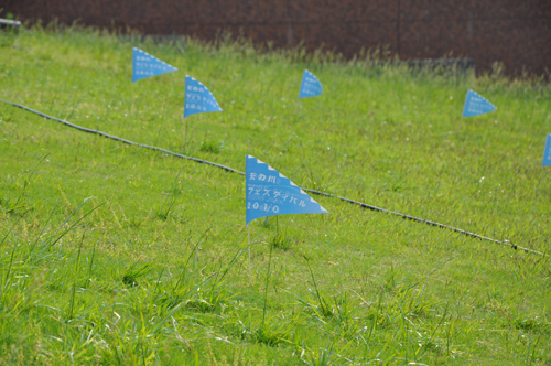 20100527-02.jpg 20100527-02.jpg