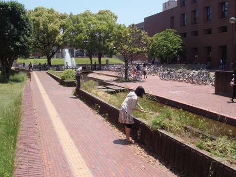 20100622-DSC07143.jpg 20100622-DSC07143.jpg