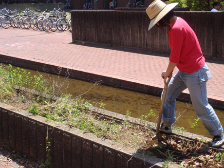 20100622-DSC07144.jpg 20100622-DSC07144.jpg