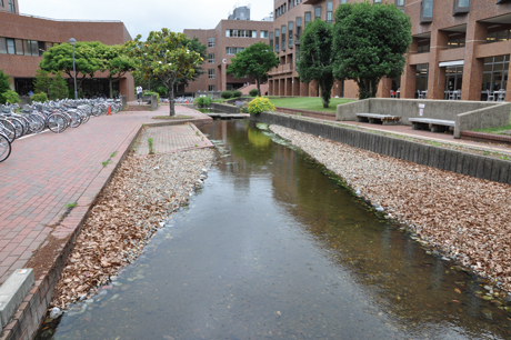 20100622-a05.jpg 20100622-a05.jpg